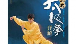 邱慧芳24式简化太极拳视频,流畅动作，养生之道